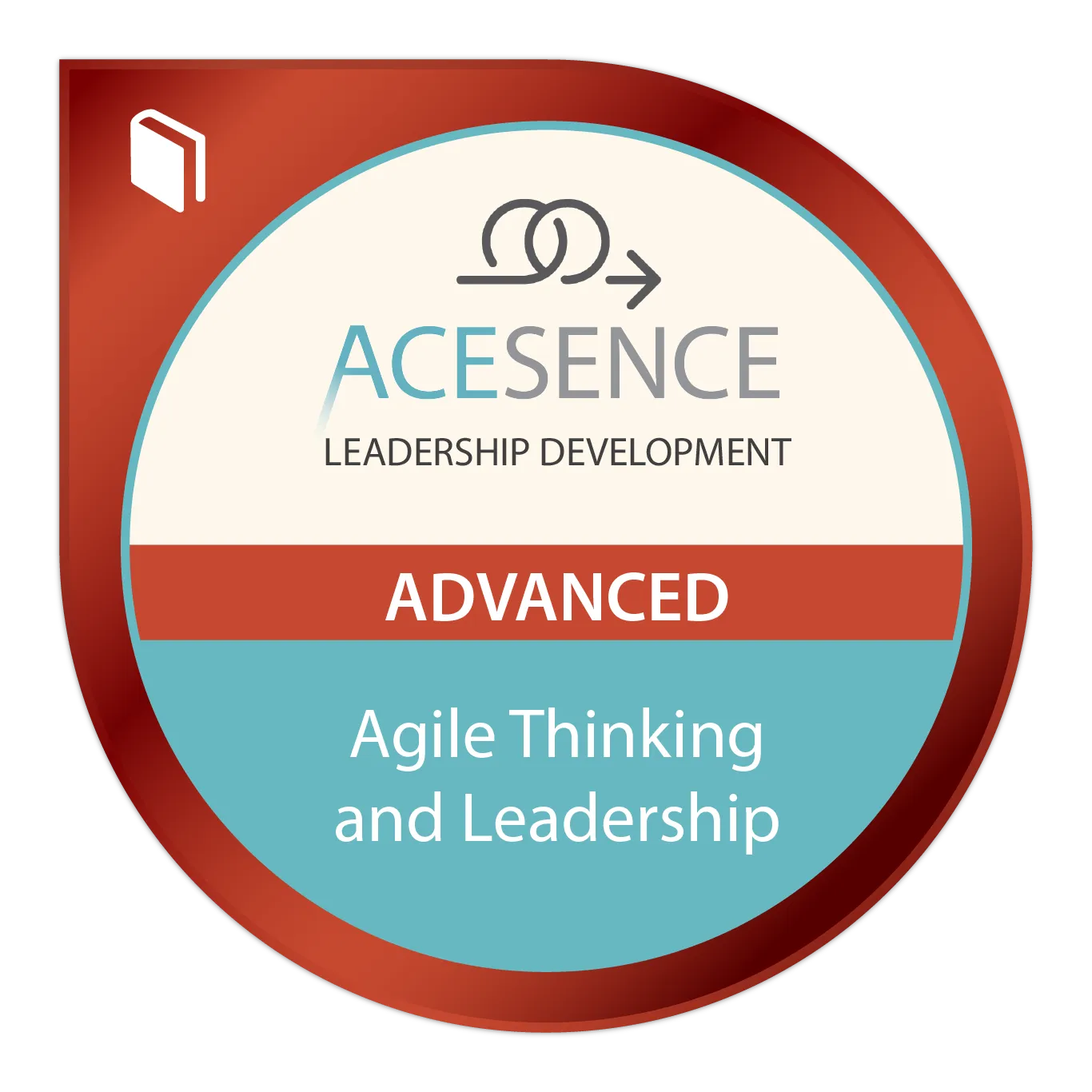 agile thinking and leadership advanced